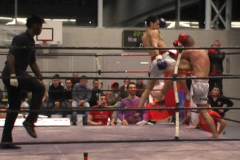 14440883_1251116591585268_7058586063692119598_n